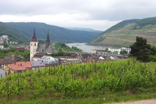 Bingen