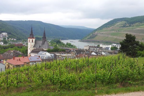 Bingen